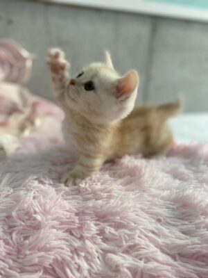 IMG_7803.jpeg