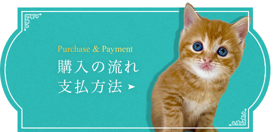 bnrhalf_payment
