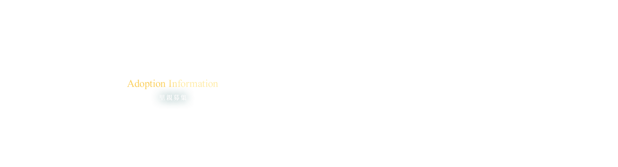 里親募集